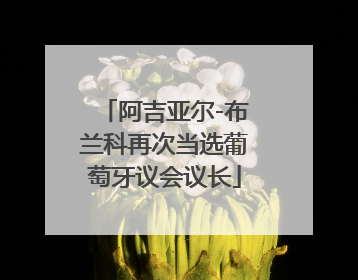 阿吉亚尔-布兰科再次当选葡萄牙议会议长